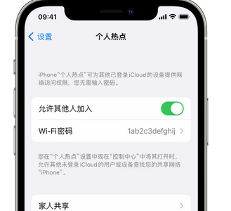 衢州apple服务站点分享iPhone上个人热点丢失了怎么办