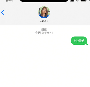 衢州apple维修iPhone上无法正常发送iMessage信息