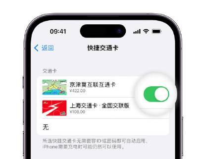 衢州apple维修点分享iPhone上更换Apple Pay快捷交通卡手绘卡面 