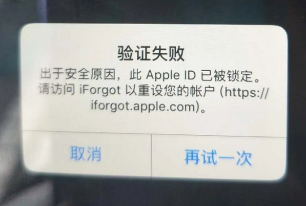 衢州iPhone维修分享iPhone上正常登录或使用AppleID怎么办 