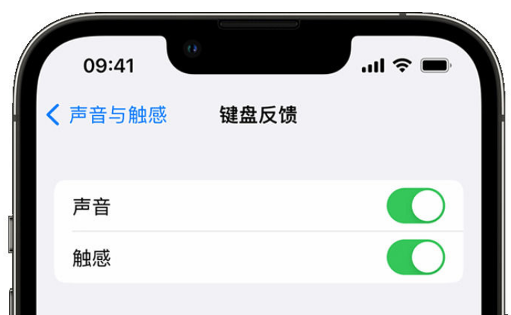 衢州苹果手机维修分享iPhone 14触感键盘使用方法 