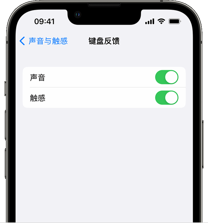 衢州苹果14维修店分享如何在 iPhone 14 机型中使用触感键盘 