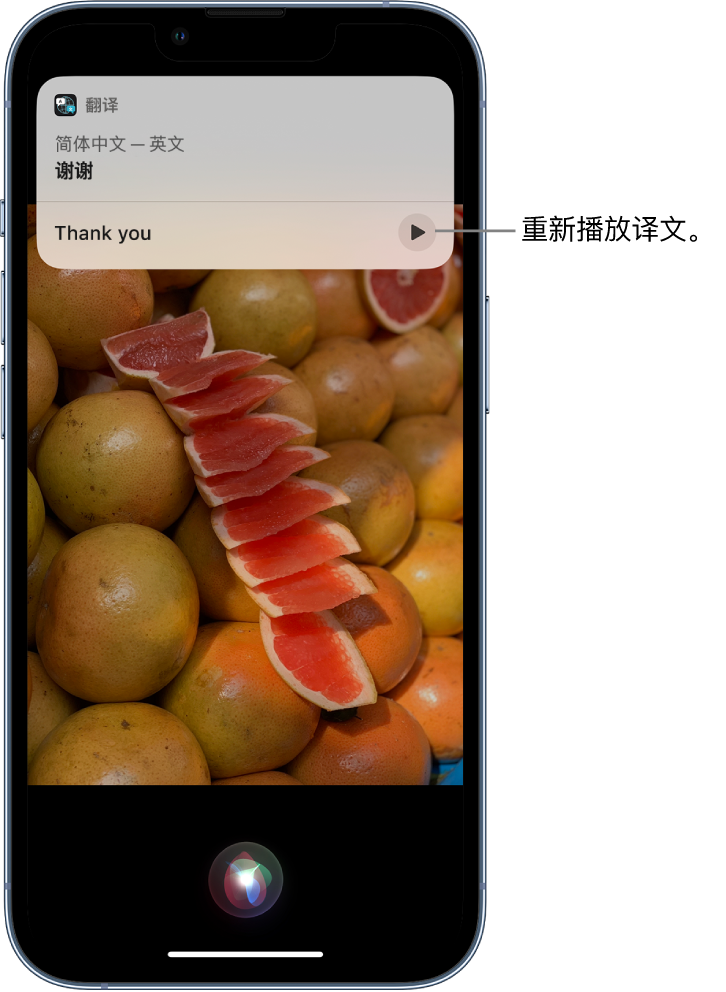 衢州苹果14维修分享 iPhone 14 机型中使用 Siri：了解 Siri 能帮你做什么 