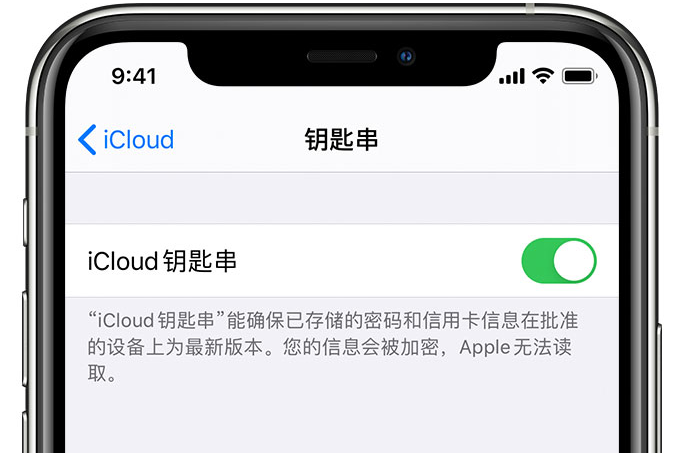 衢州苹果手机维修分享在 iPhone 上开启 iCloud 钥匙串之后会储存哪些信息 