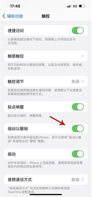 衢州苹果手机维修分享iPhone手机如何设置摇一摇删除文字 