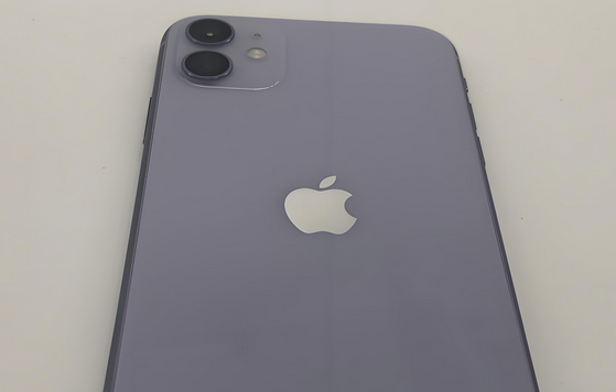 衢州苹果11系统维修分享iPhone11手机系统崩溃无法开机如何解决 